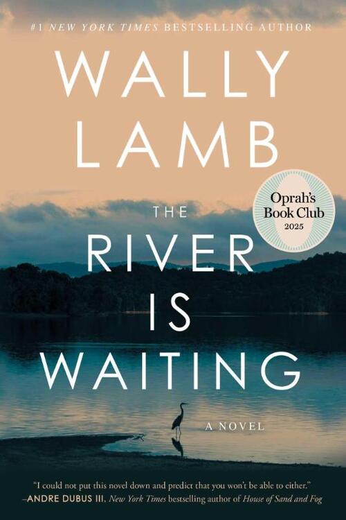 The River Is Waiting (Oprah's Book Club)