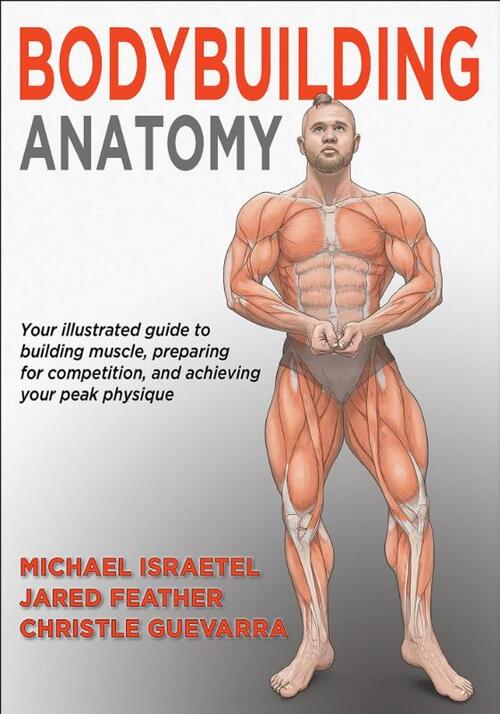 Bodybuilding Anatomy