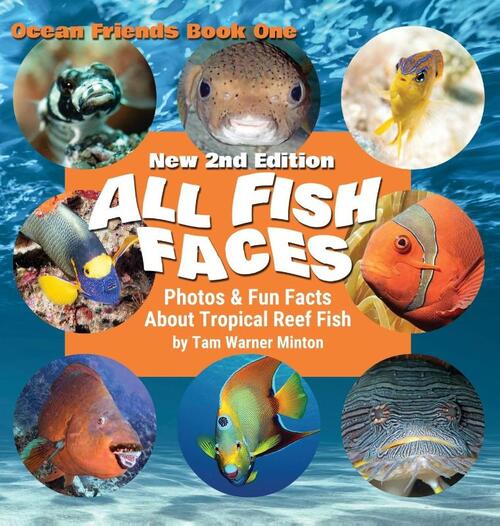 All Fish Faces