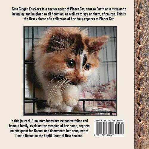 The Journal of Agent Gina Ginger Knickers, Phase One