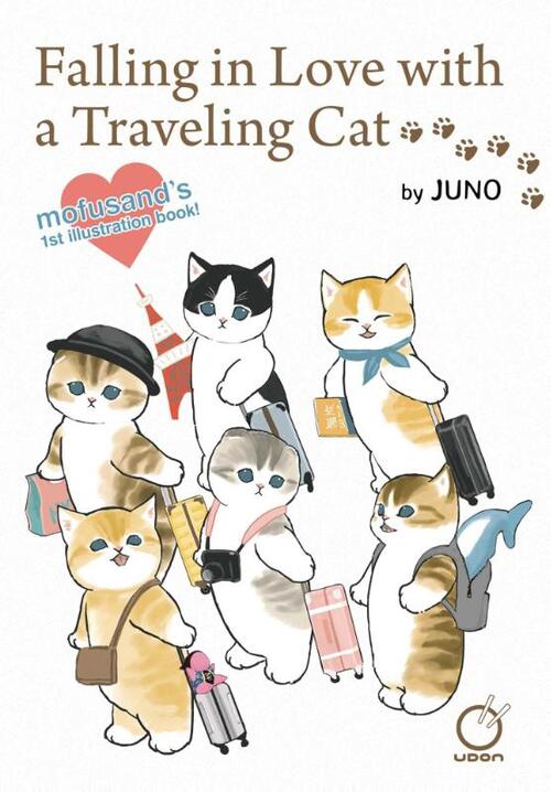 Falling in Love with a Traveling Cat
