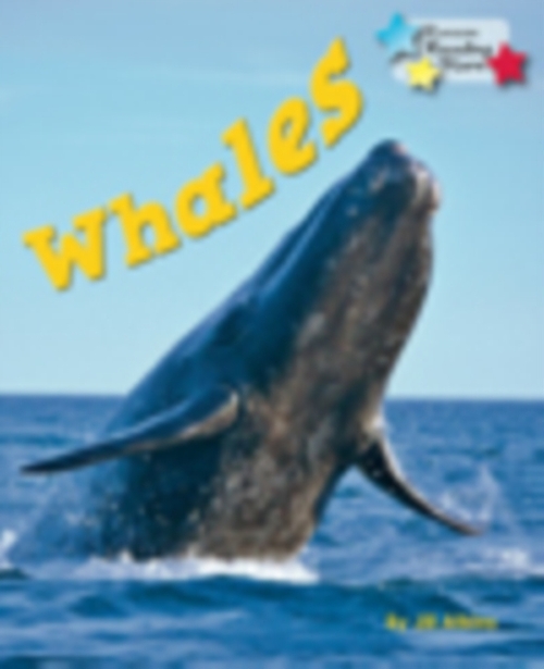 Whales
