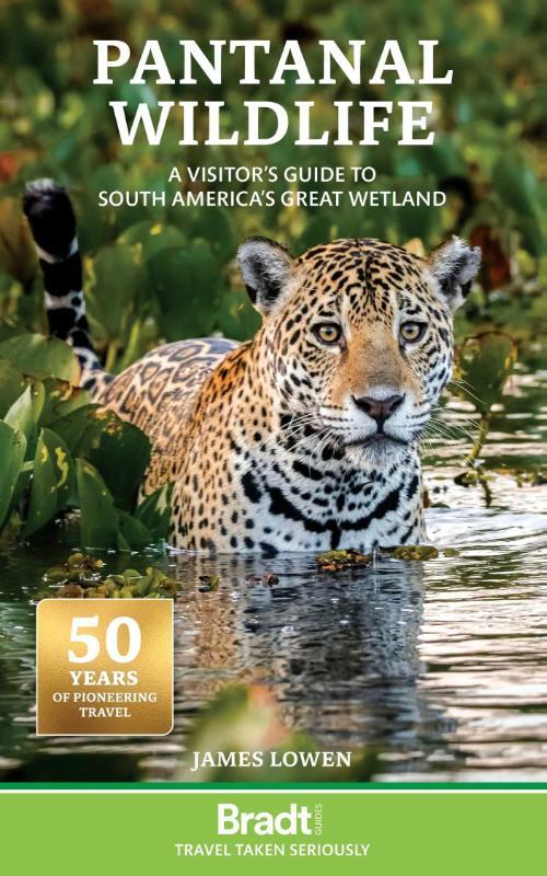Pantanal Wildlife