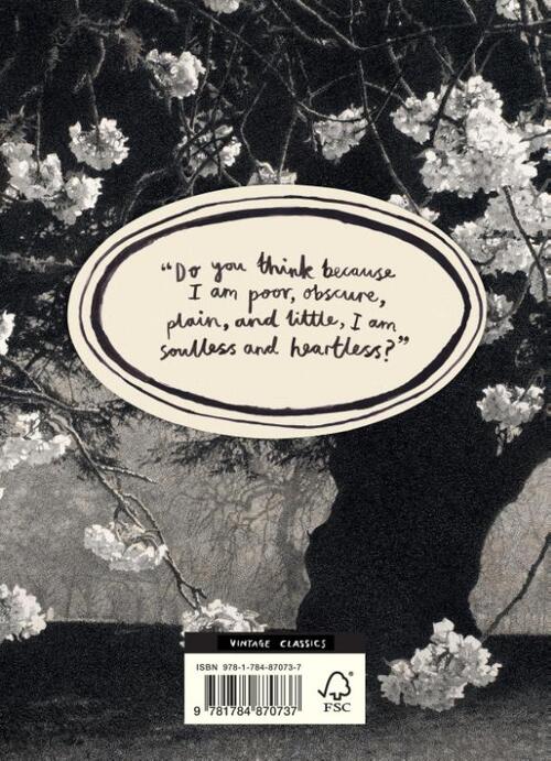 Jane Eyre (Vintage Classics Bronte Series)