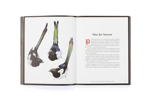 The Book of the Raven