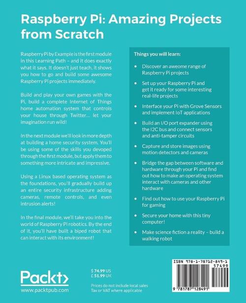Raspberry Pi: Amazing Projects from Scratch