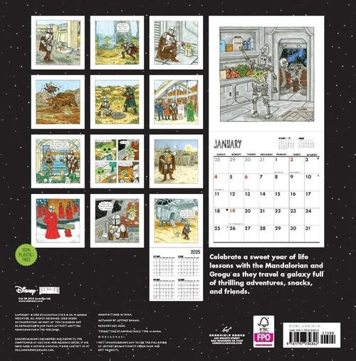 Star Wars The Mandalorian and Child 2027 Wall Calendar