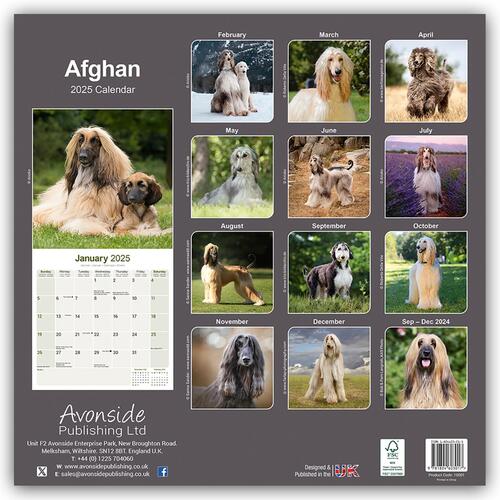 Afghan Calendar 2025 Square Dog Breed Wall Calendar - 16 Month
