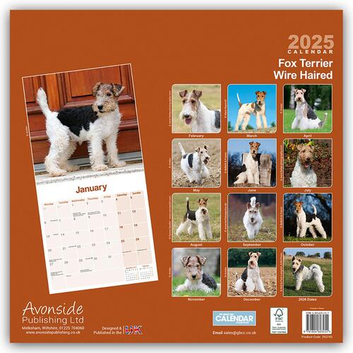 Fox Terrier Wirehaired Calendar 2025 Square Dog Breed Wall Calendar - 16 Month
