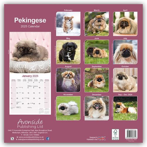 Pekingese Calendar 2025 Square Dog Breed Wall Calendar - 16 Month
