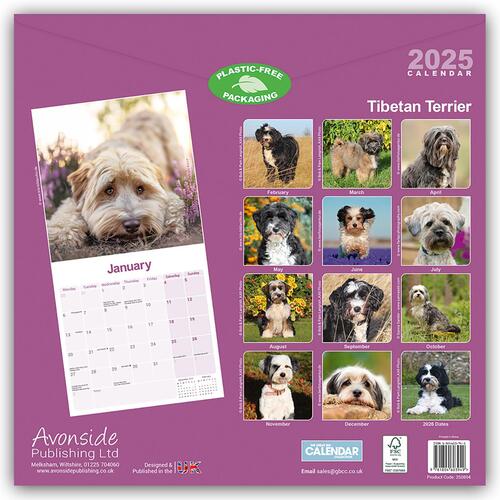 Tibetan Terrier Calendar 2025 Square Dog Breed Wall Calendar - 16 Month