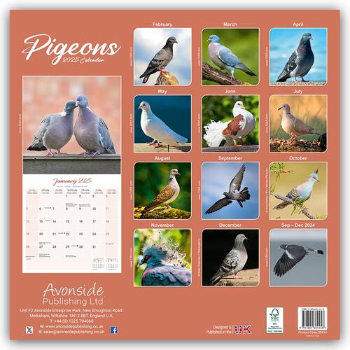 Pigeons Calendar 2025 Square Birds Wall Calendar - 16 Month