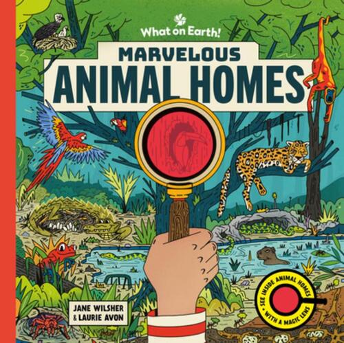 Marvelous Animal Homes: A Magic Lens Book