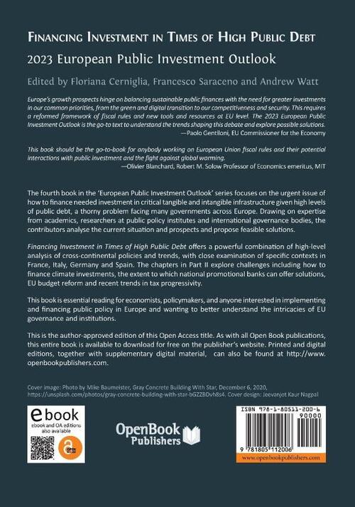 Financing Investment in Times of High Public Debt