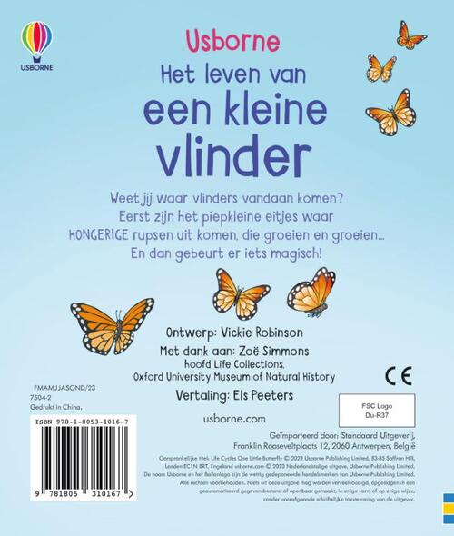 Een kleine vlinder