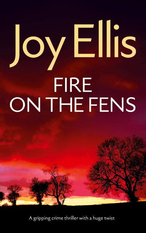 FIRE ON THE FENS a gripping crime thriller with a huge twist