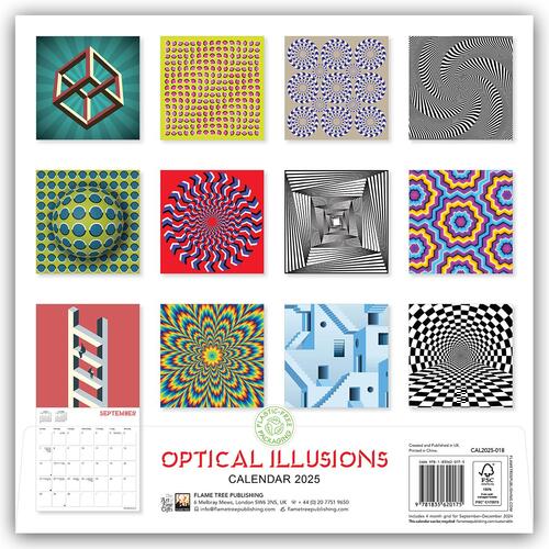 Optical Illusions Wall Calendar 2025 (Art Calendar)