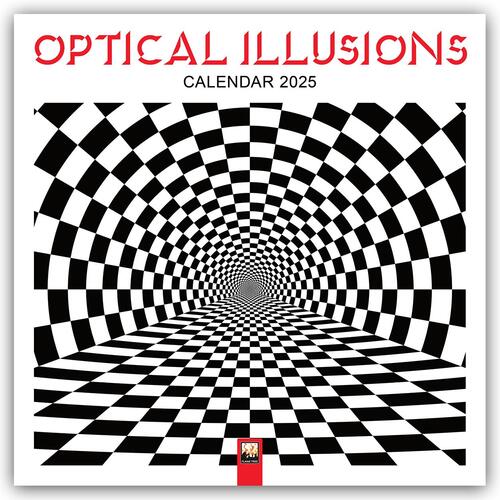 Optical Illusions Wall Calendar 2025 (Art Calendar)