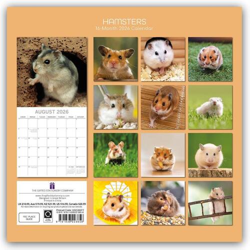 Hamsters - Hamster 2026 - 16-Monatskalender