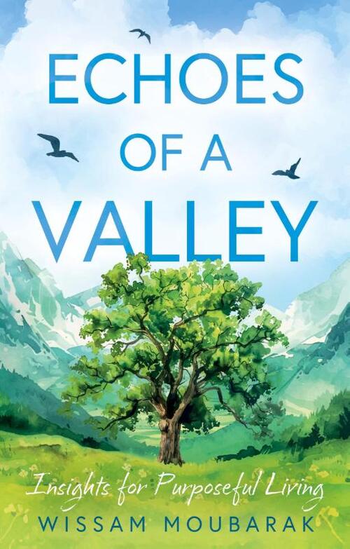 Echoes of a Valley