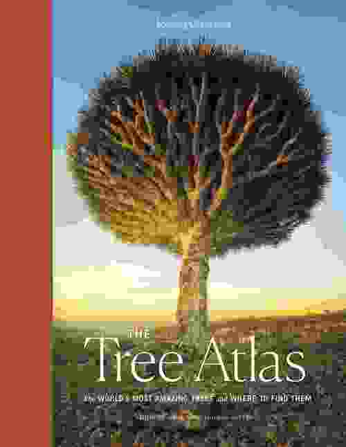 Lonely Planet The Tree Atlas
