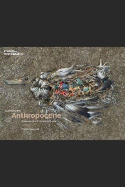 Surveying the Anthropocene: