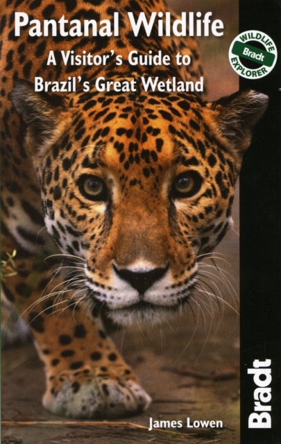 Pantanal Wildlife