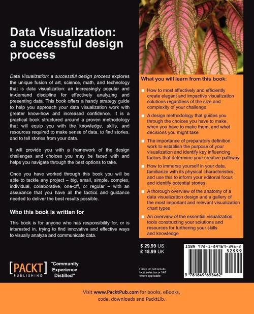 Data Visualization: a successful design process