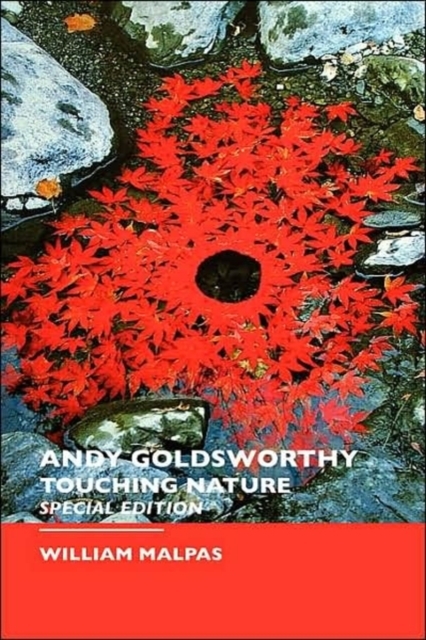 Andy Goldsworthy