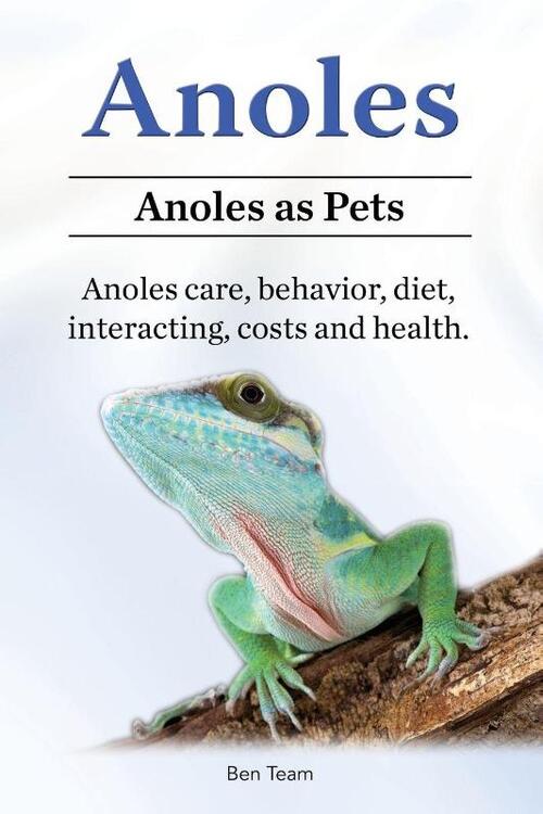 Anoles. Anoles as Pets. Anoles care, behavior, diet, interacting, costs and health.