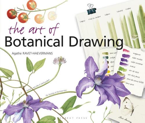 The Art of Botanical Drawing