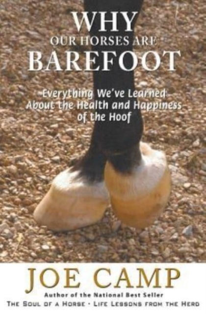 Why Our Horses Are Barefoot