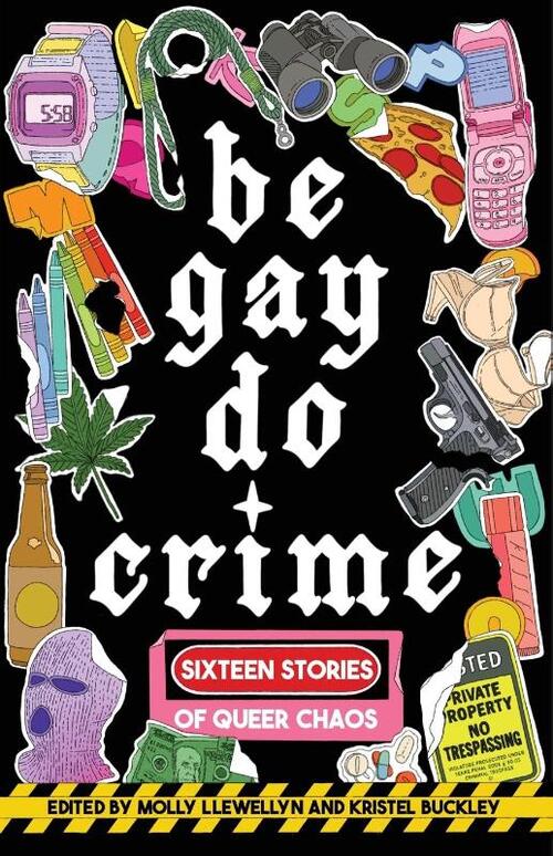 Be Gay, Do Crime