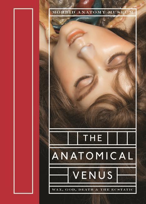Anatomical Venus