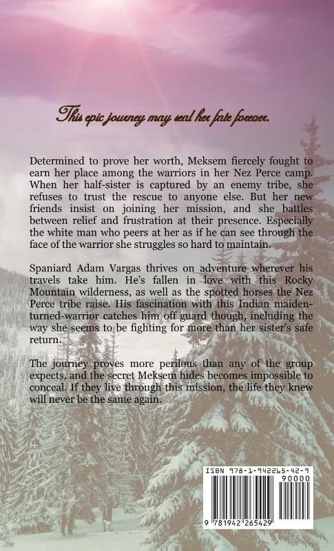 Light in the Mountain Sky