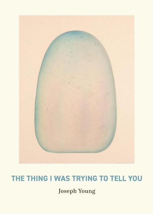 The Thing I Was Trying to Tell You