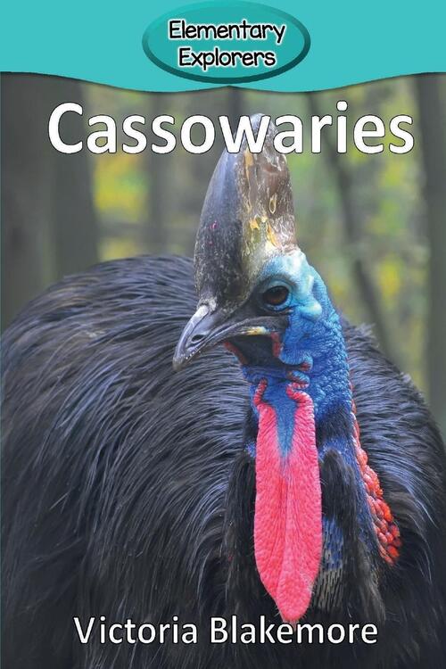 Cassowaries