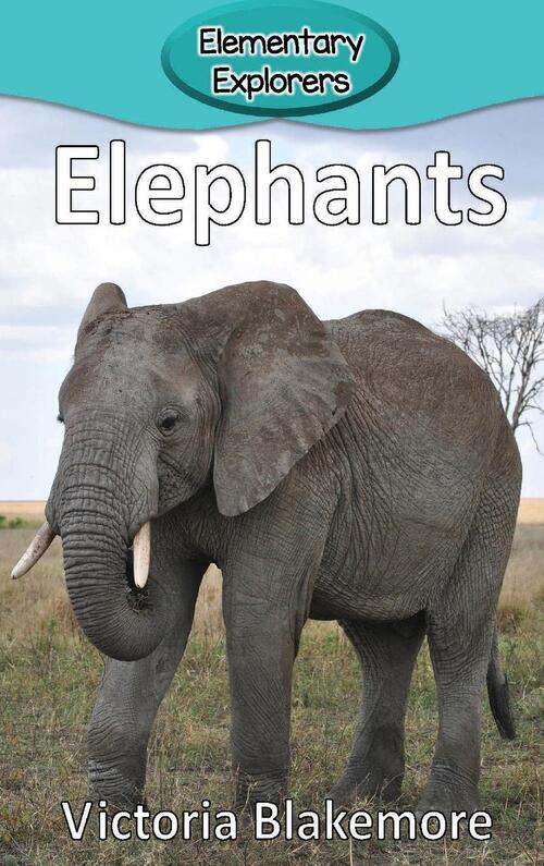 Elephants