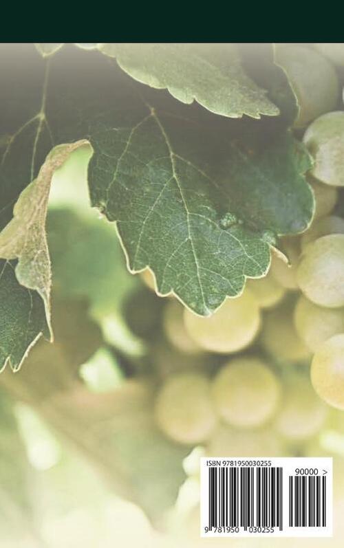 The Spirits' Book (New English Edition)