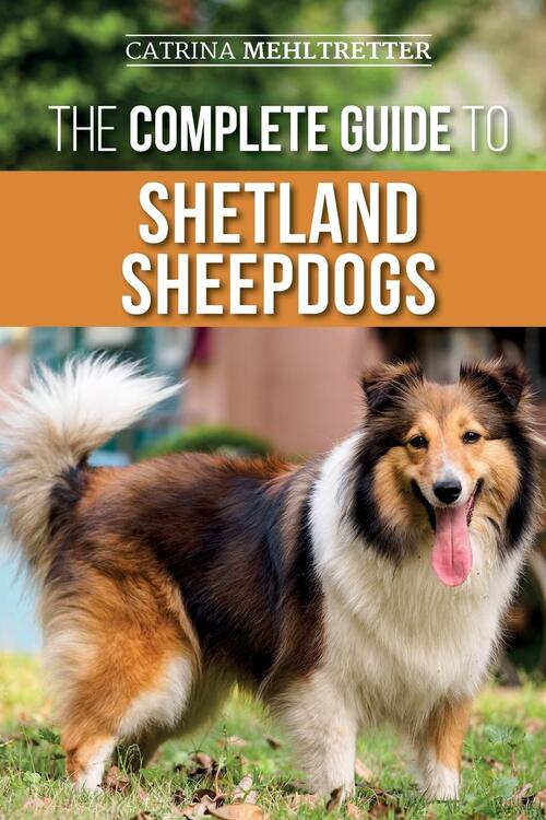 The Complete Guide to Shetland Sheepdogs, Catrina Mehltretter Boek  9781954288003