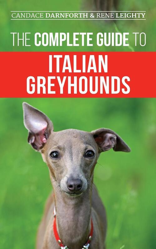 The Complete Guide to Italian Greyhounds