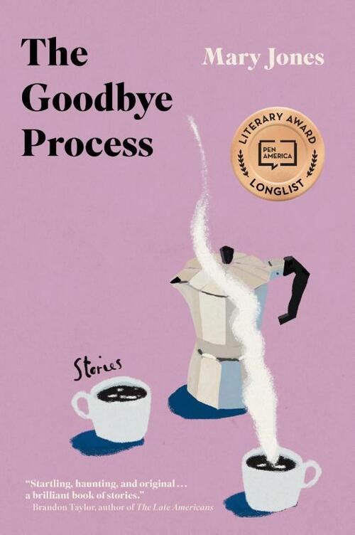 The Goodbye Process: Stories
