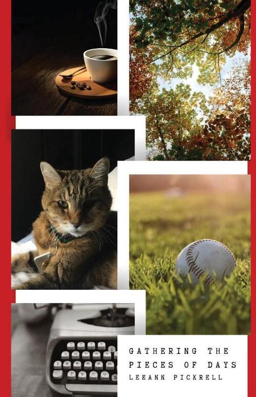 Gathering the Pieces of Day