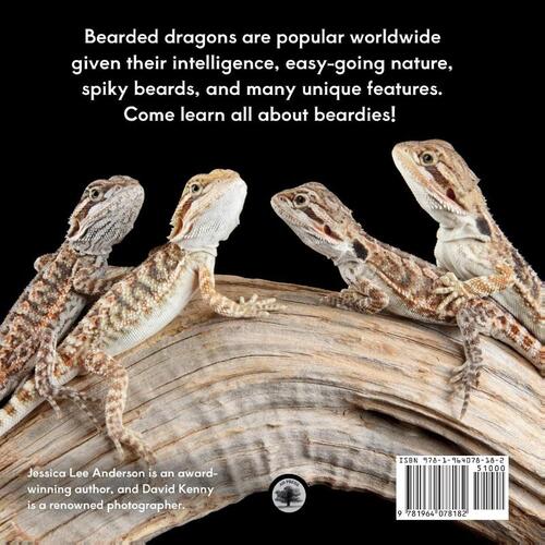Bearded Dragons