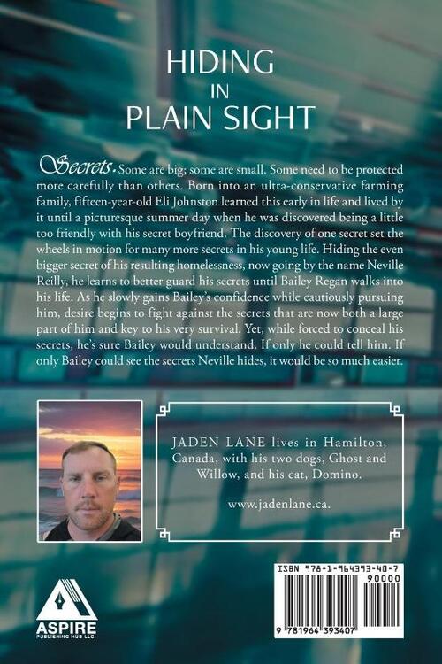 Hiding in Plain Sight