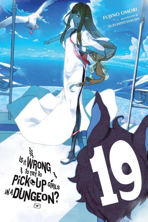 Is It Wrong to Try to Pick Up Girls in a Dungeon?, Vol. 19 (light novel)