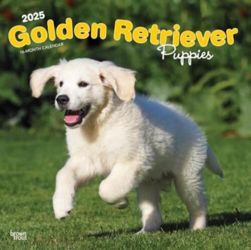 2025 Plastic-Free Golden Retriever Puppies Calendar