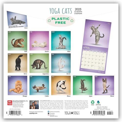 Yoga Cats - Yoga-Katzen 2025 - 16-Monatskalender