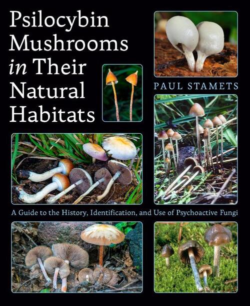 Psilocybin Mushrooms in Their Natural Habitats