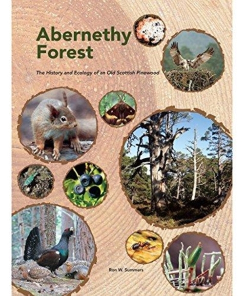 Abernethy Forest